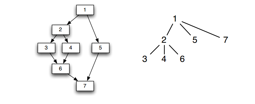 dominator_tree